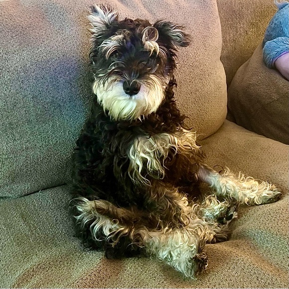 Meet your Posher, Julie - Picture 5 of 5